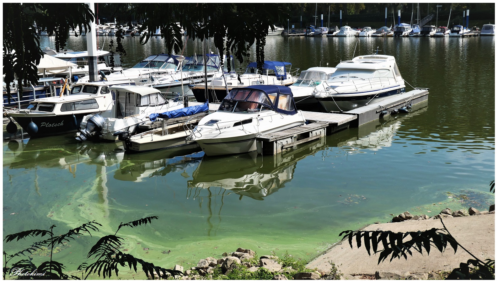 Am Bootshafen Schierstein