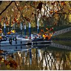 Am Bootshafen Schierstein/Rhein