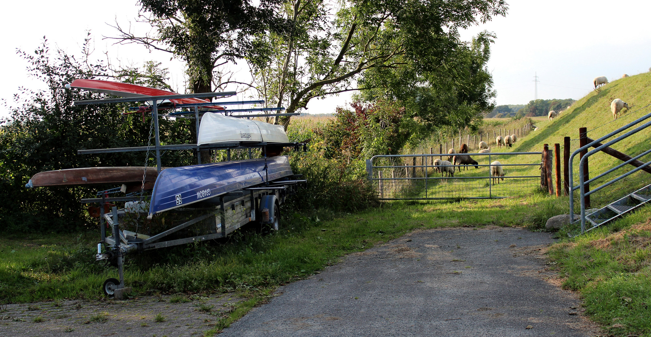 am Bootshaus am Ostedeich da laufen auch Schafe ...