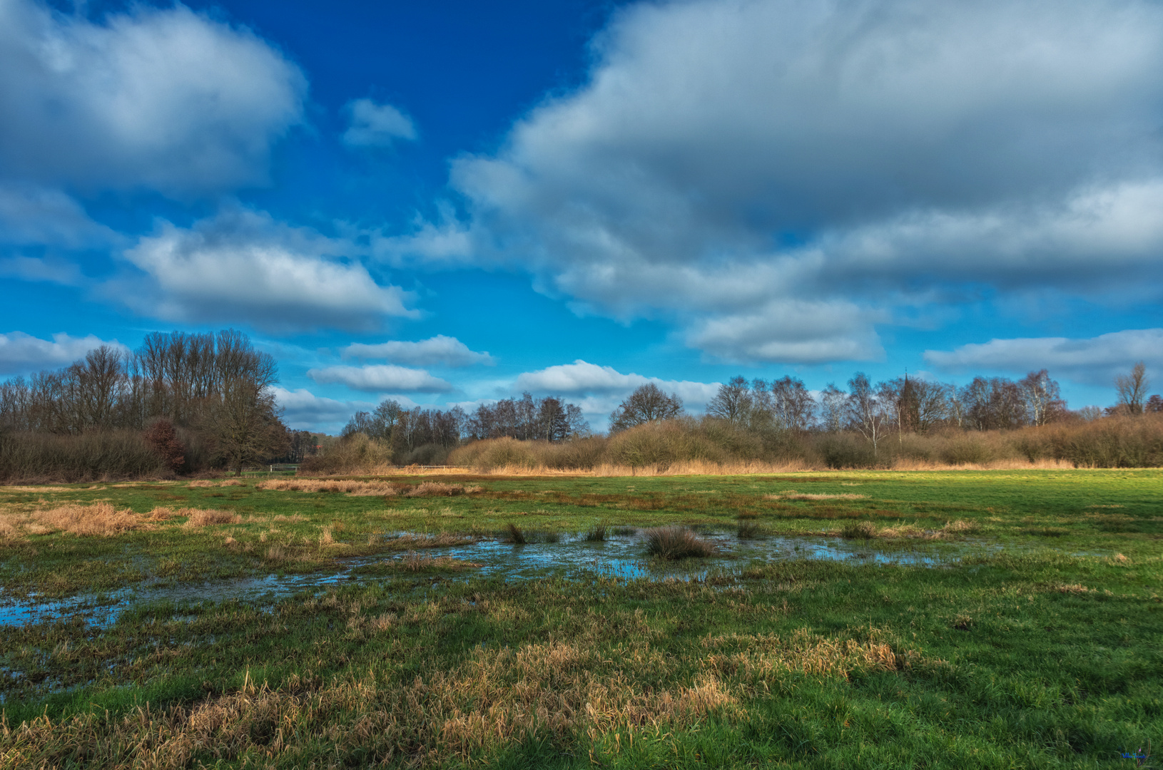 Am Borner See