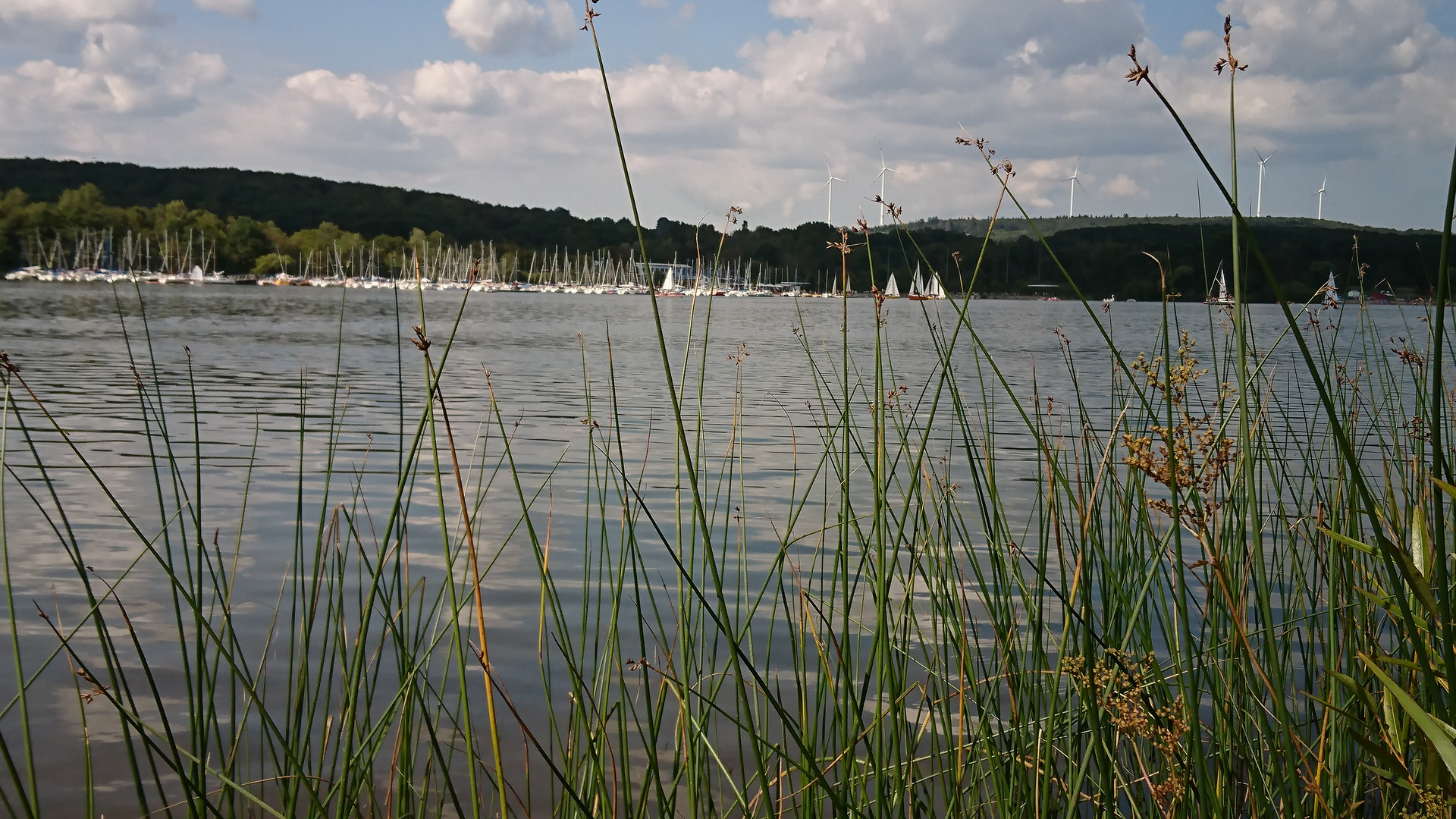 Am Bostalsee/ Saarland 