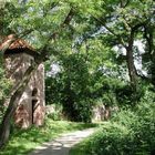 Am Botanischen Garten in Bad Frankenhausen