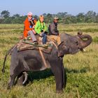 Am Brahmaputra- Kaziranga