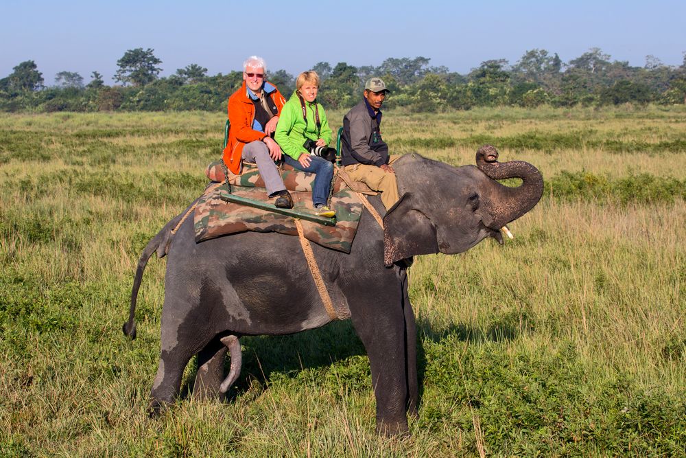 Am Brahmaputra- Kaziranga