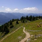 am Breitenstein