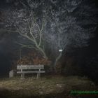 Am Breitenstein bei Nacht und Nebel