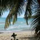 am Brewer´s Beach von Tortola (Karibik)