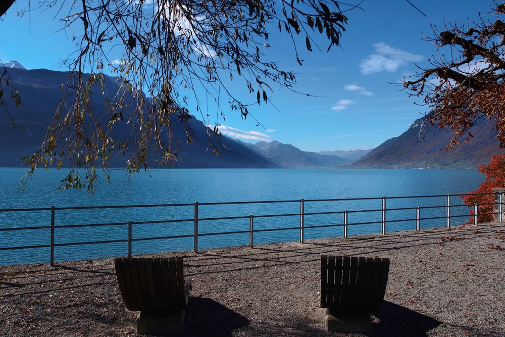 Am Brienzersee