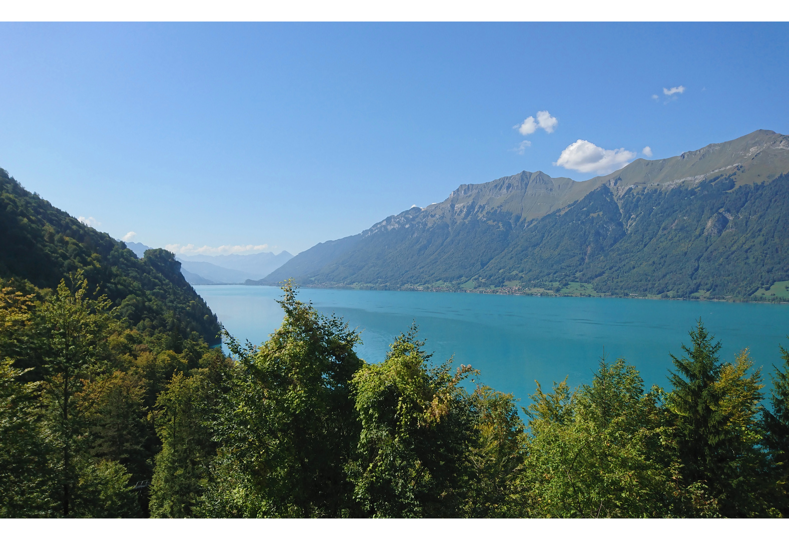 Am Brienzersee