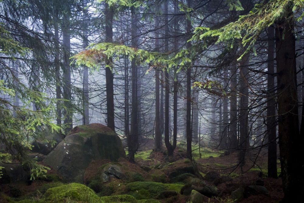 am Brocken 3