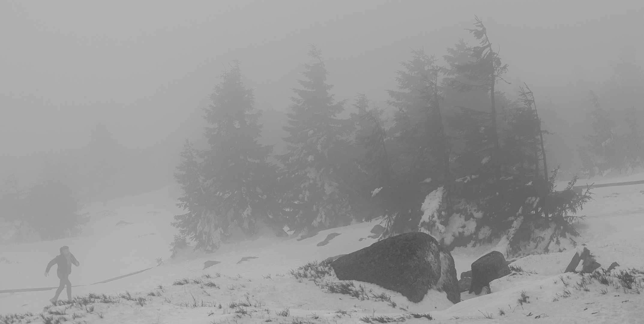 Am Brocken bei Sturmwind und Nebel 001 