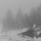 Am Brocken bei Sturmwind und Nebel 001 