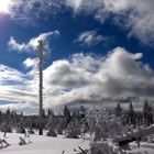 Am Brocken