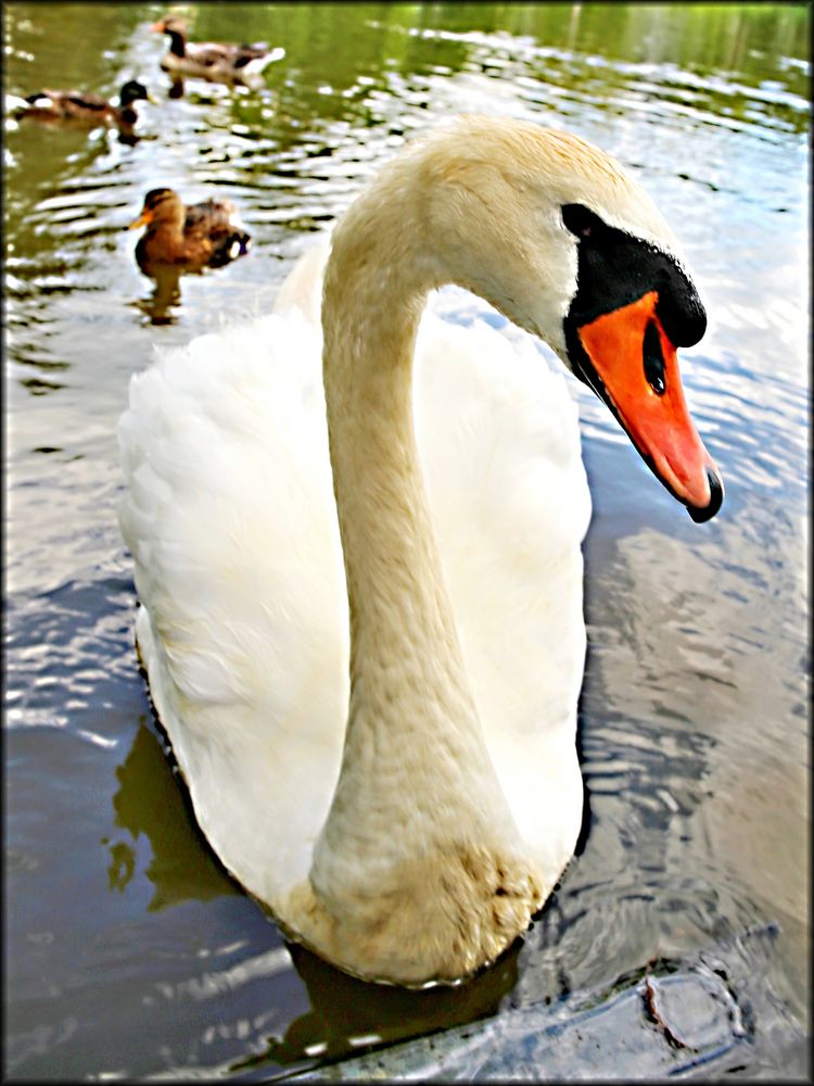 am Brotzeitteich