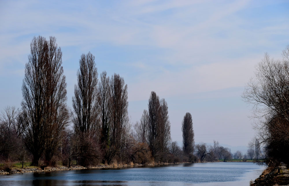 am Broyekanal