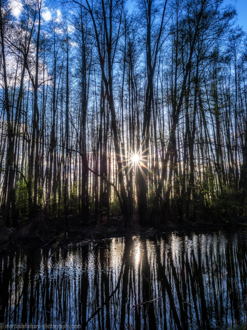 Am Bruchwald