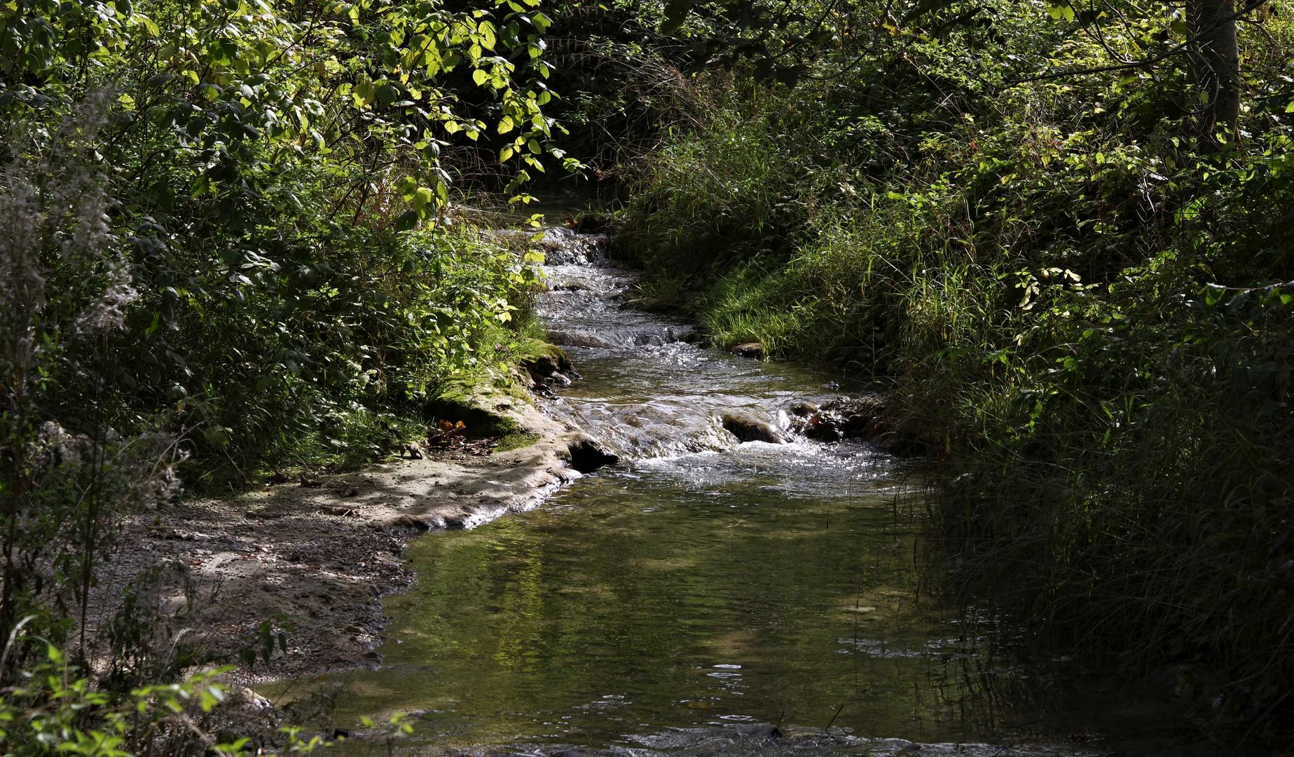 am Brühlbach bei Bad Urach