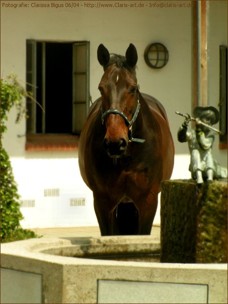 Am Brunnen