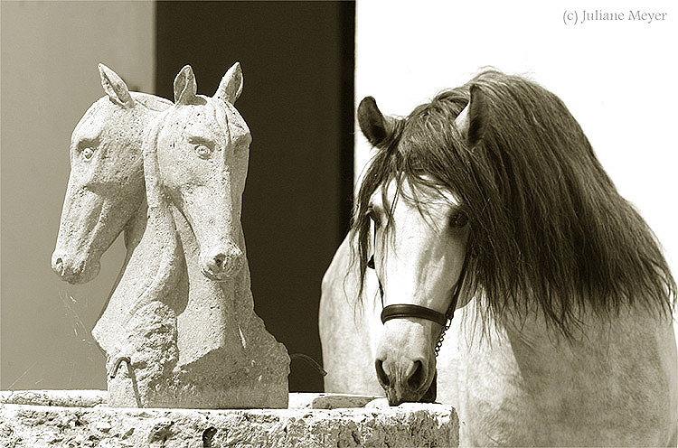 Am Brunnen II