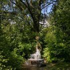 Am Brunnen vor dem Baume da steht ein ...