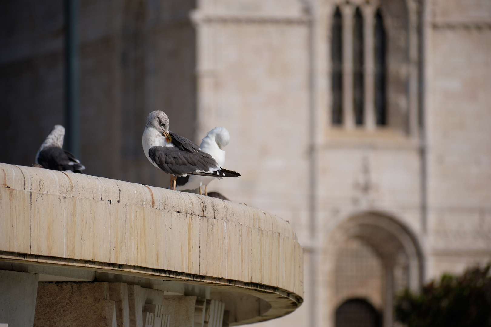 Am Brunnen vor dem Kloster