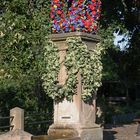 Am Brunnen vor dem Tore