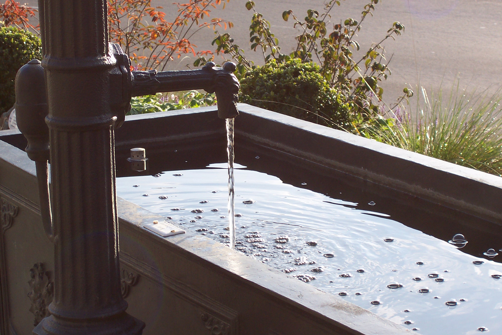 am Brunnen vor dem Tore