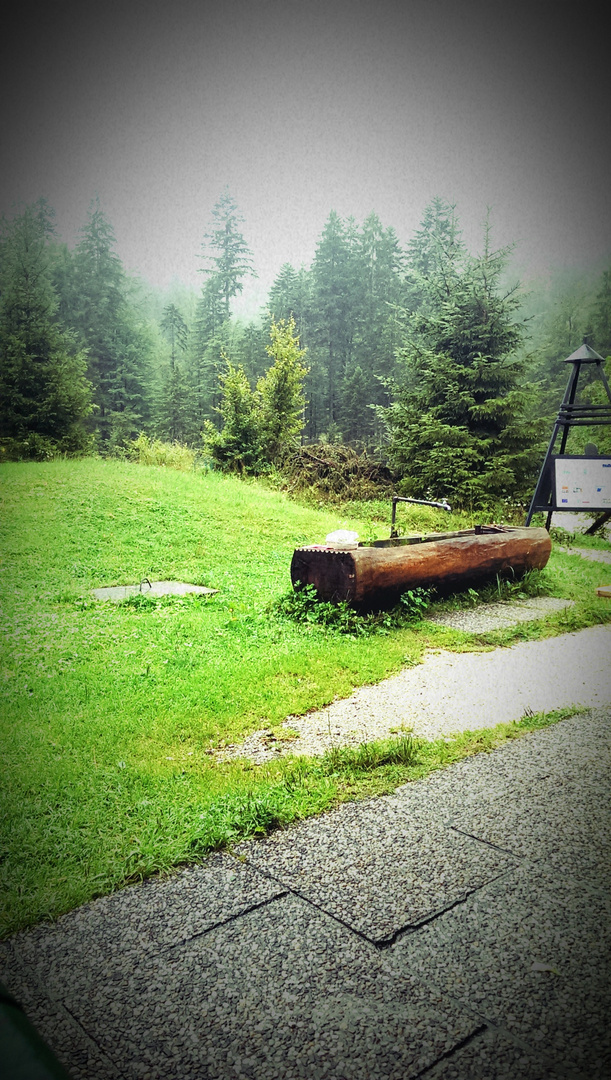 Am Brunnen vor dem Tore