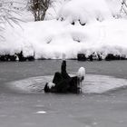 Am Brunnen vor dem Tore