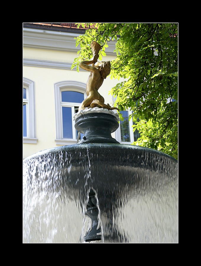 ~Am Brunnen vor dem Tore...~