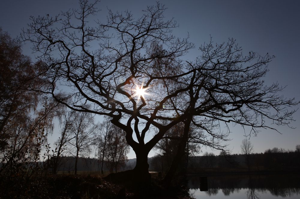 Am Brunner Weiher