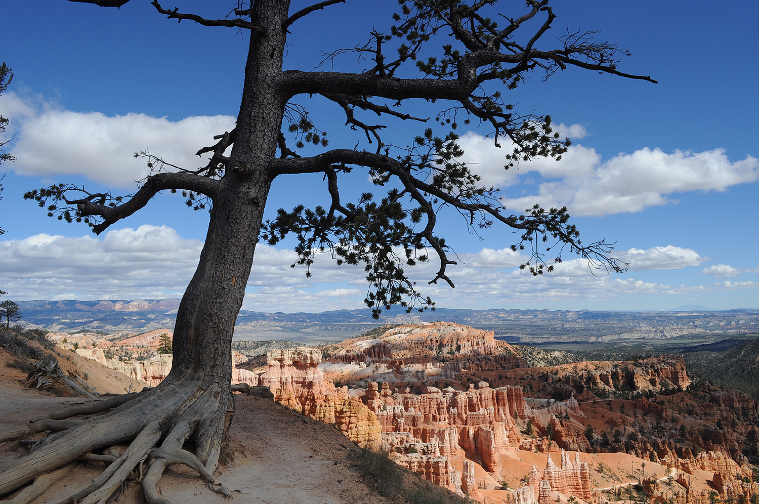 Am Bryce Canyon