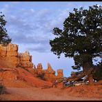 Am Bryce Canyon, bevor die Sonne da war...