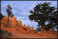 Am Bryce Canyon, bevor die Sonne da war...