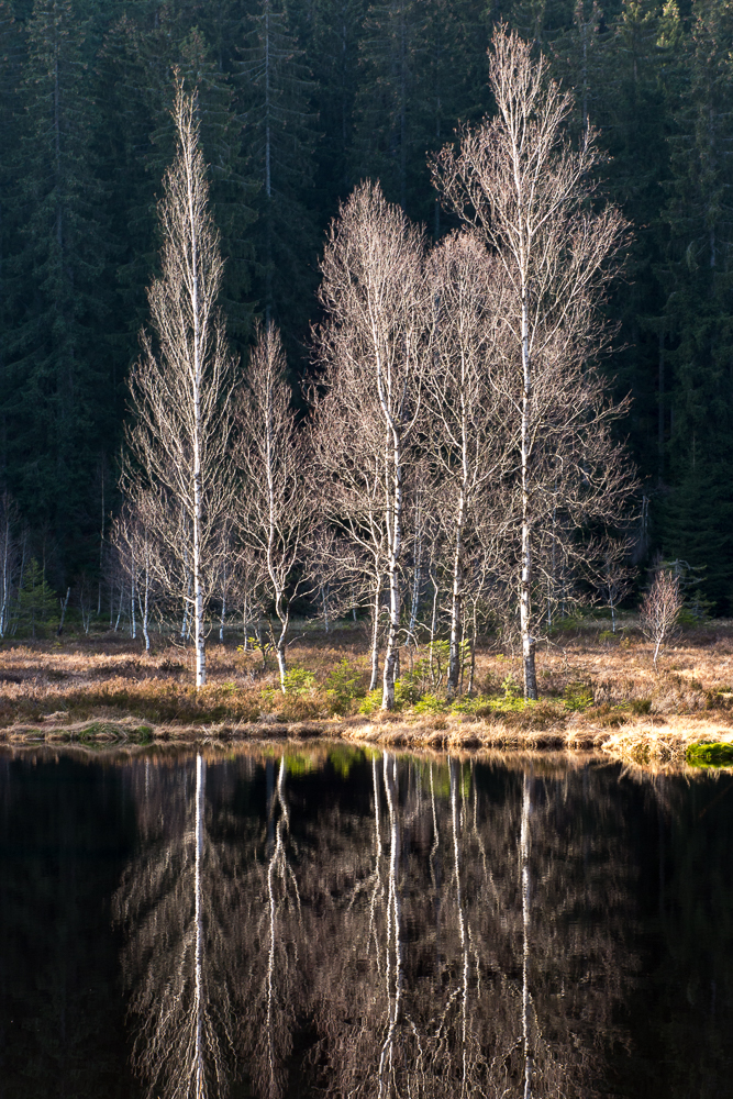 Am Buhlbachsee