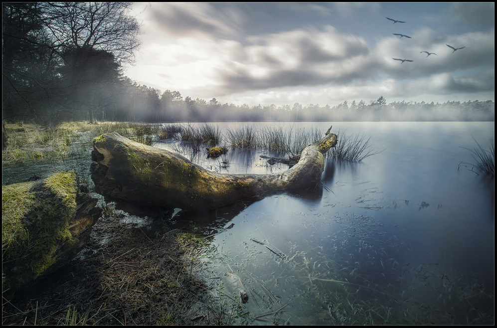 Am Bullensee