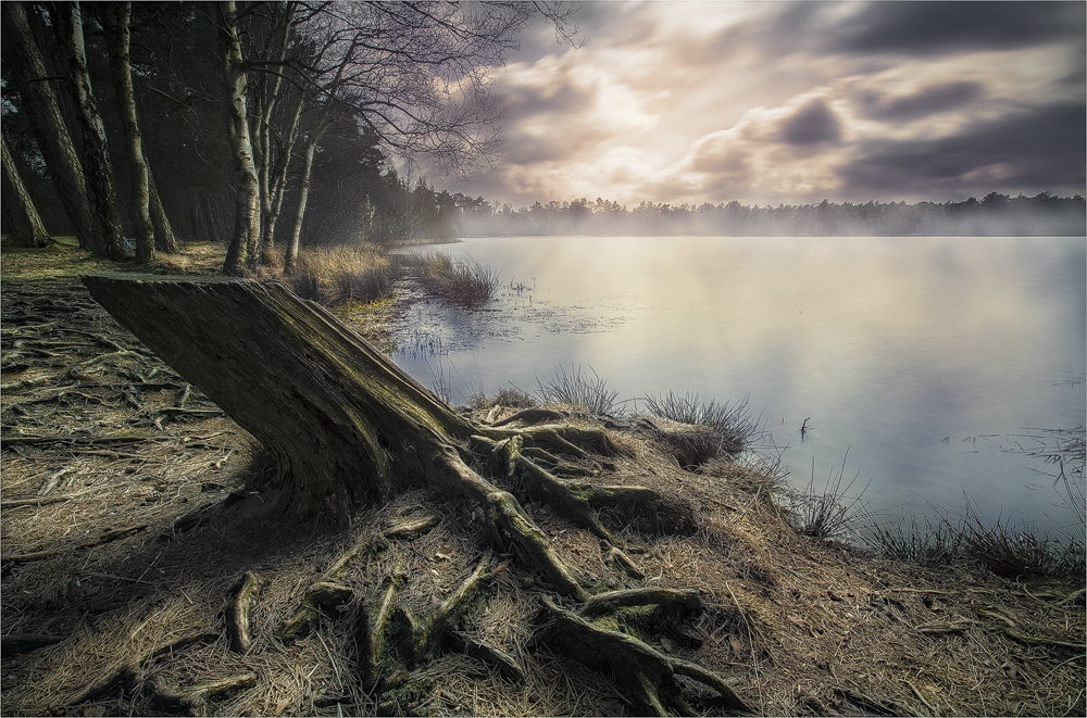 Am Bullensee III