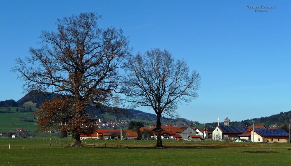 "Am Burgberger Moor mit Blick auf Agathazell 2"