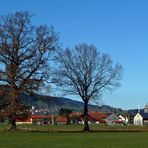 "Am Burgberger Moor mit Blick auf Agathazell 2"