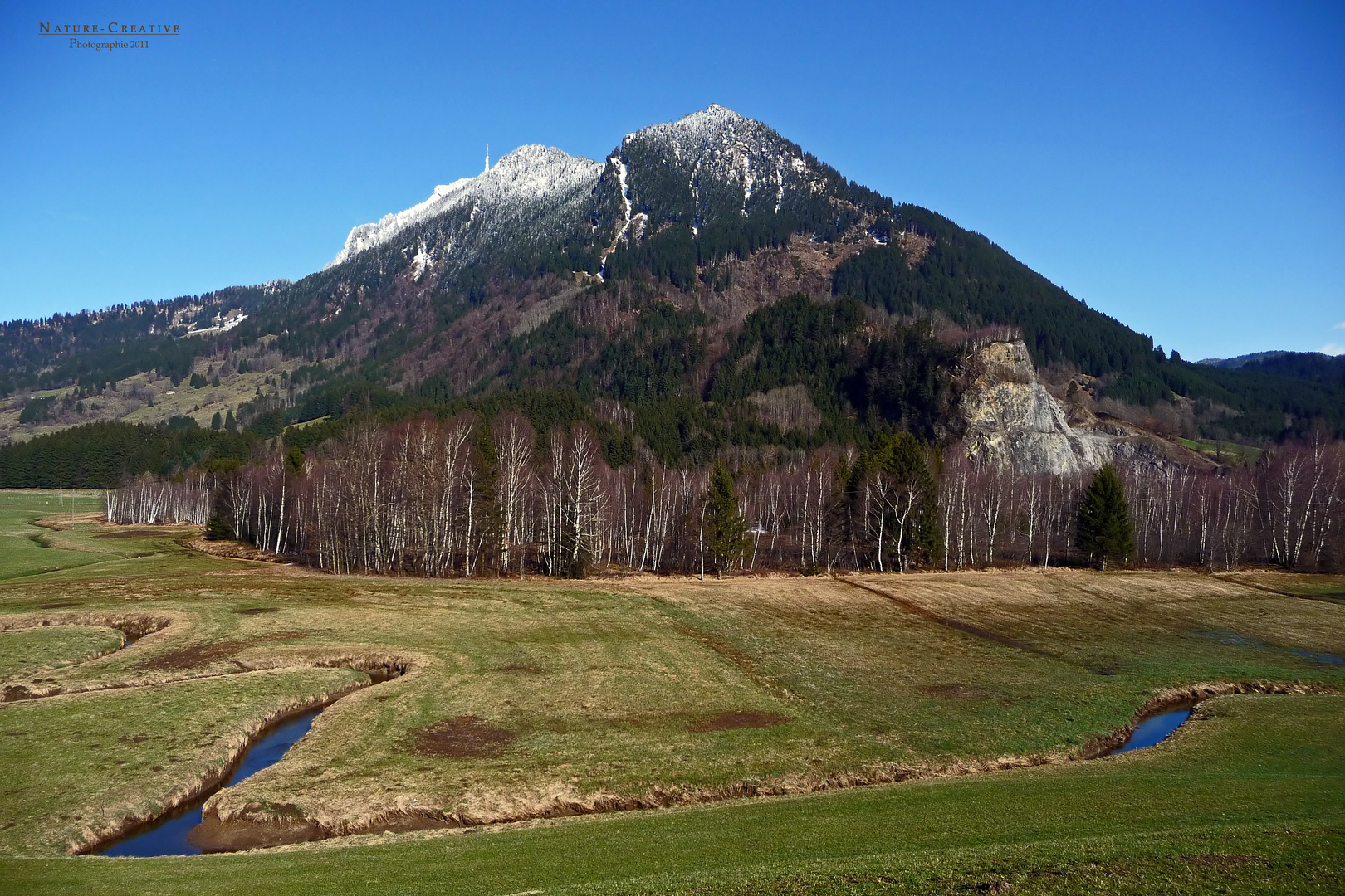 "Am Burgberger Moor mit Blick auf den Grünten und Moor-Wäldchen"