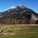 "Am Burgberger Moor mit Blick auf den Grünten und Moor-Wäldchen"