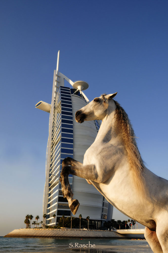 Am Burj Al Arab