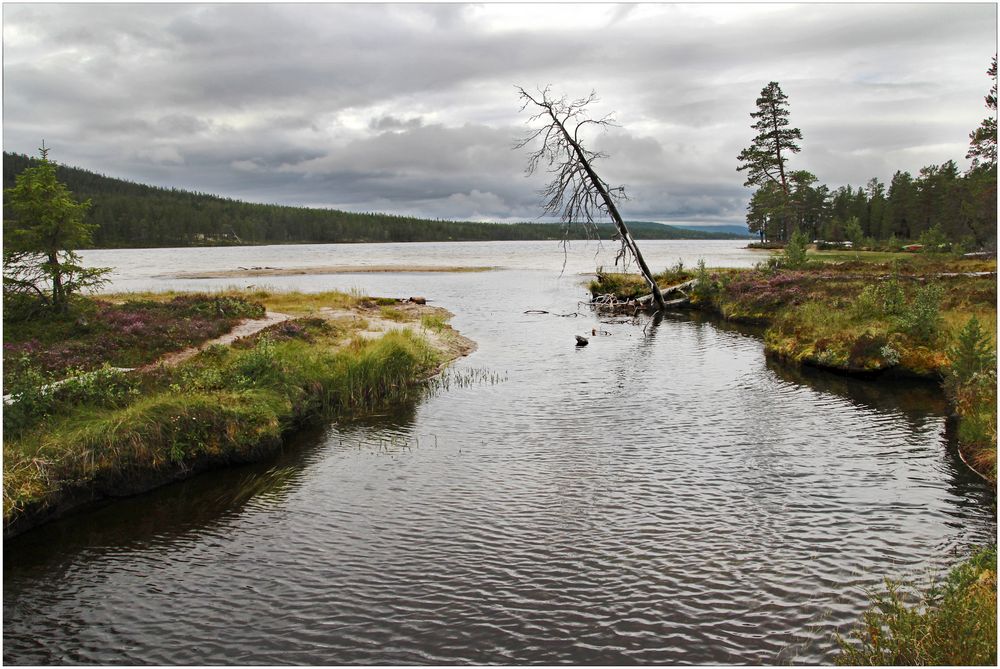 Am Burosjön