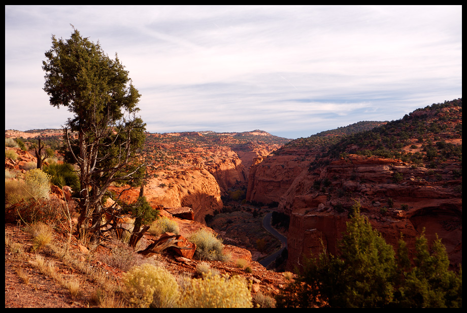 Am Burr Trail