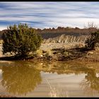 Am Burr Trail 7 (Notom Road)