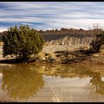 Am Burr Trail 7 (Notom Road)