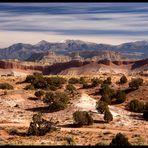 Am Burr Trail 8 (Notom Road)