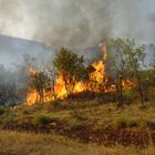 Am Buschfeuer, El Questro Station, Nahe Kunuurra