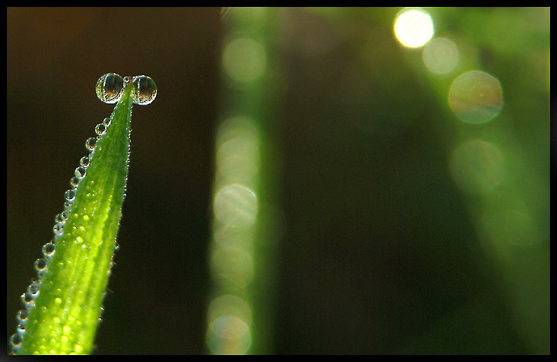 Am Busen der Natur :-)