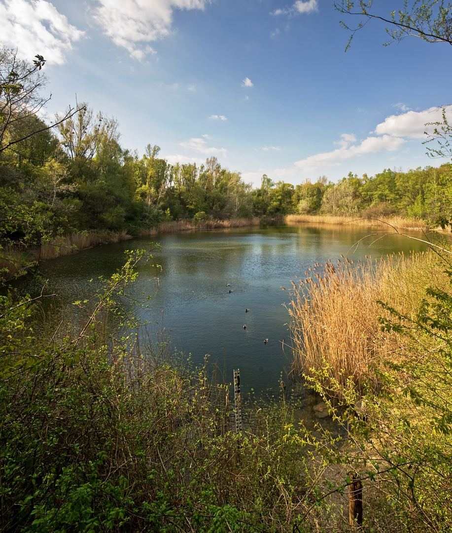 Am Butterteich